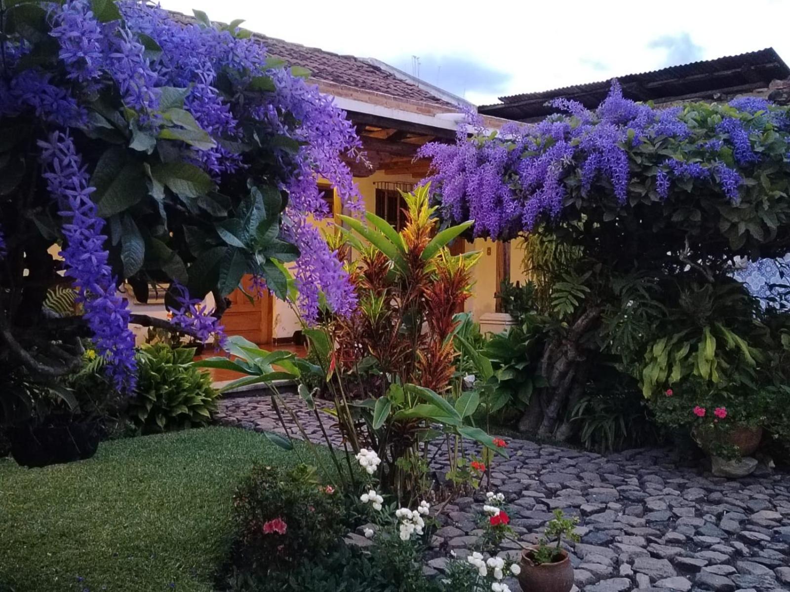 Hostal San Nicolas Antigua Bagian luar foto