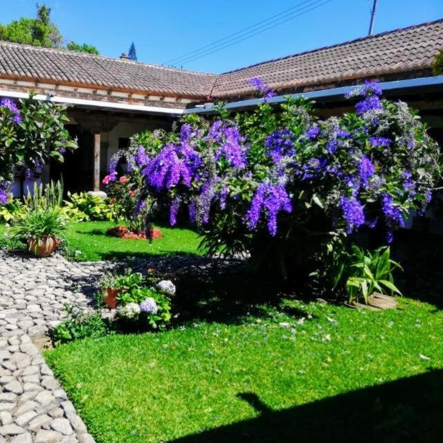Hostal San Nicolas Antigua Bagian luar foto
