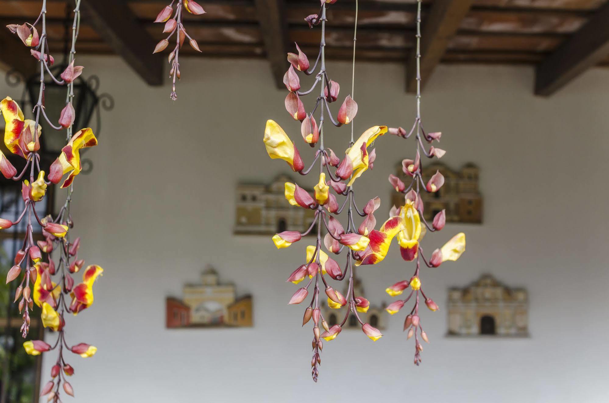 Hostal San Nicolas Antigua Bagian luar foto