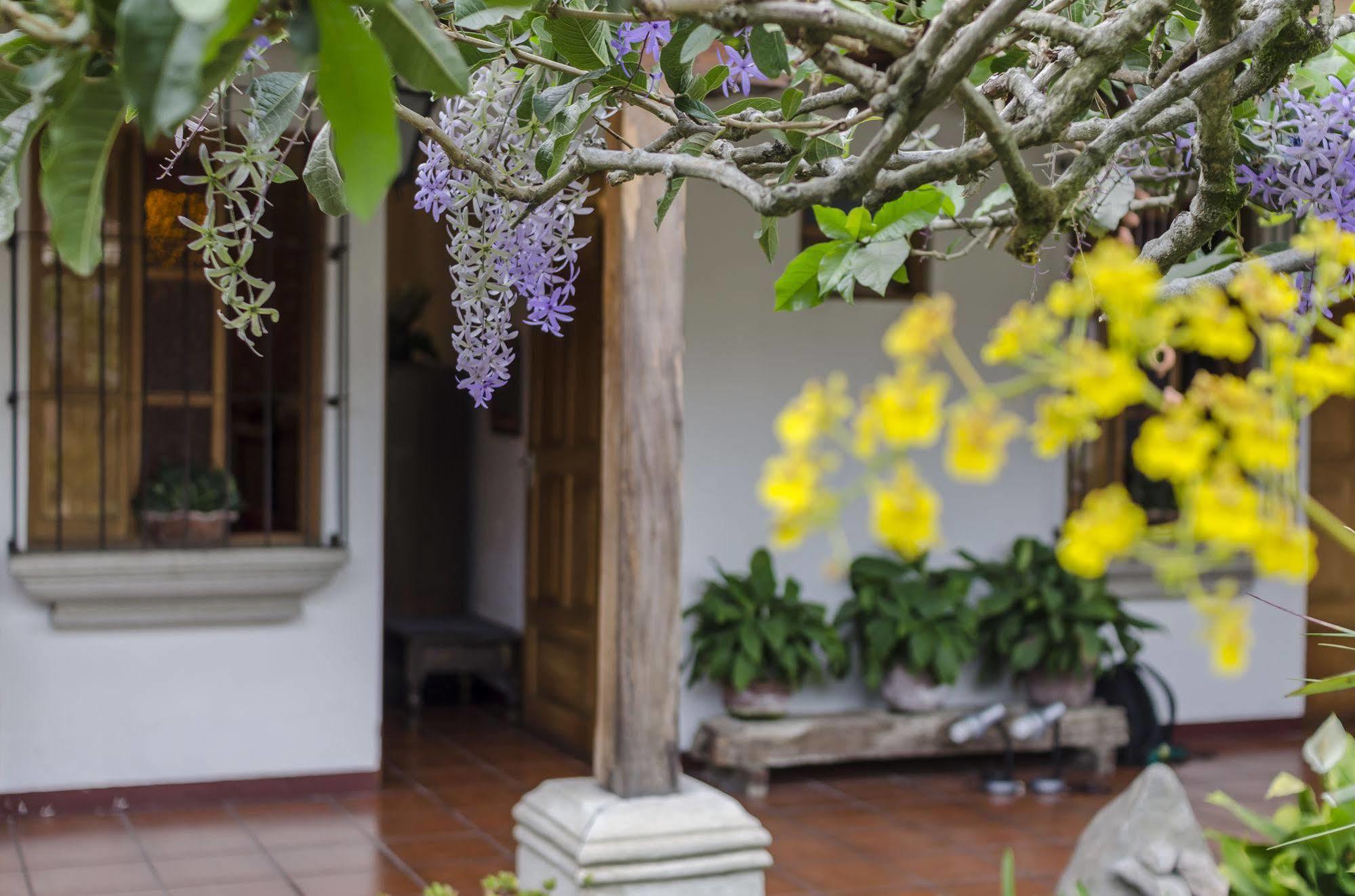 Hostal San Nicolas Antigua Bagian luar foto